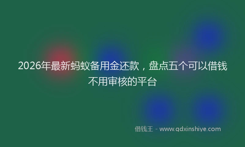 2026年最新蚂蚁备用金还款，盘点五个可以借钱不用审核的平台