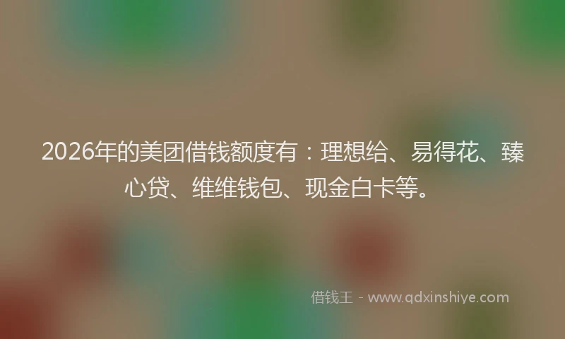 2026年的美团借钱额度有：理想给、易得花、臻心贷、维维钱包、现金白卡等。