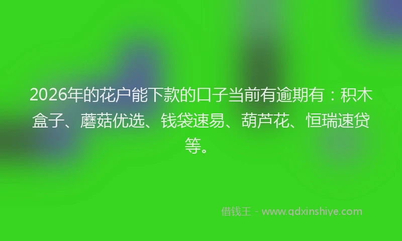 2026年的花户能下款的口子当前有逾期有：积木盒子、蘑菇优选、钱袋速易、葫芦花、恒瑞速贷等。