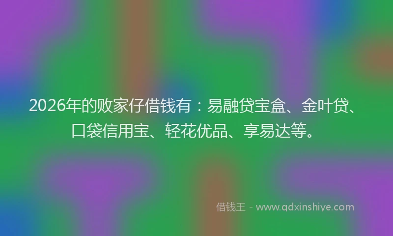 2026年的败家仔借钱有：易融贷宝盒、金叶贷、口袋信用宝、轻花优品、享易达等。