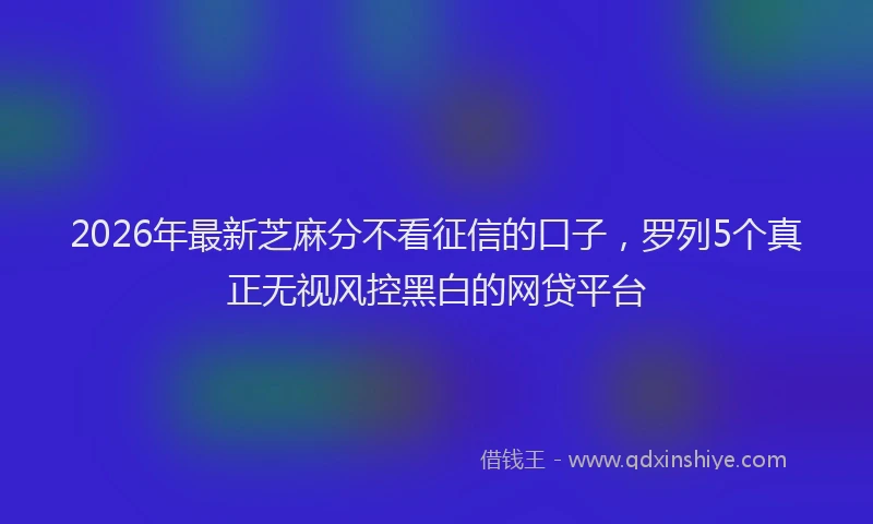2026年最新芝麻分不看征信的口子，罗列5个真正无视风控黑白的网贷平台