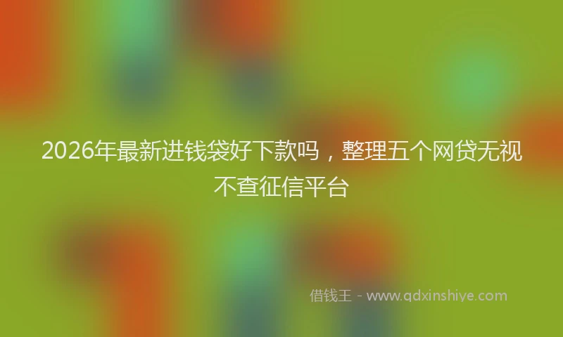 2026年最新进钱袋好下款吗，整理五个网贷无视不查征信平台