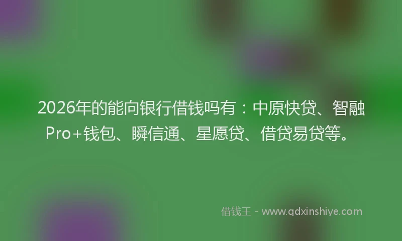 2026年的能向银行借钱吗有：中原快贷、智融Pro+钱包、瞬信通、星愿贷、借贷易贷等。