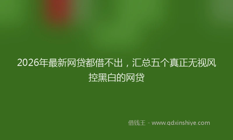 2026年最新网贷都借不出，汇总五个真正无视风控黑白的网贷