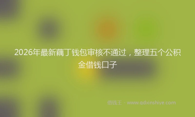 2026年最新藕丁钱包审核不通过，整理五个公积金借钱口子