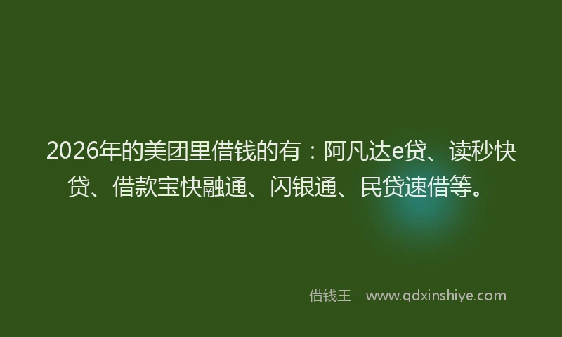 2026年的美团里借钱的有：阿凡达e贷、读秒快贷、借款宝快融通、闪银通、民贷速借等。