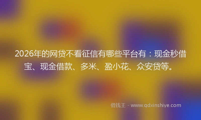 2026年的网贷不看征信有哪些平台有：现金秒借宝、现金借款、多米、盈小花、众安贷等。