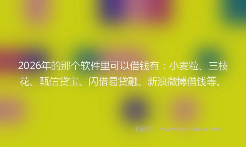 2026年的那个软件里可以借钱有：小麦粒、三枝花、甄信贷宝、闪借易贷融、新浪微博借钱等。