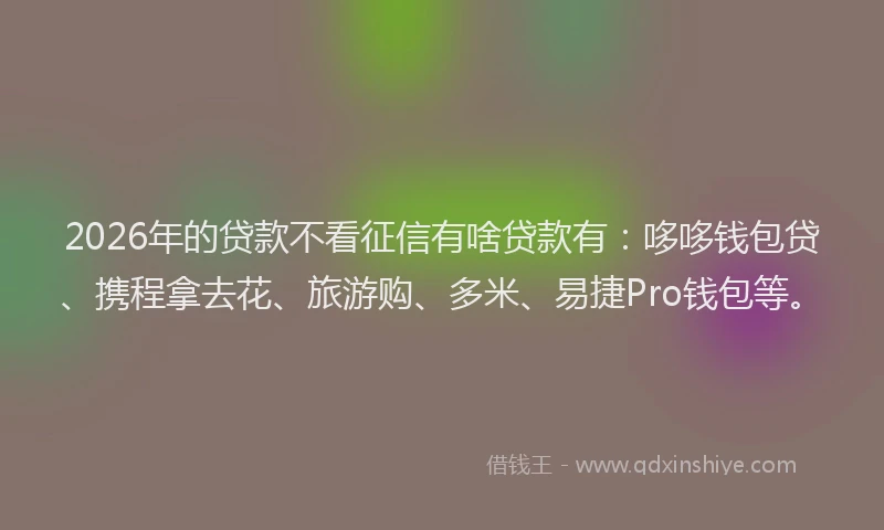 2026年的贷款不看征信有啥贷款有：哆哆钱包贷、携程拿去花、旅游购、多米、易捷Pro钱包等。