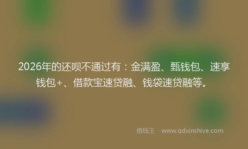 2026年的还呗不通过有：金满盈、甄钱包、速享钱包+、借款宝速贷融、钱袋速贷融等。