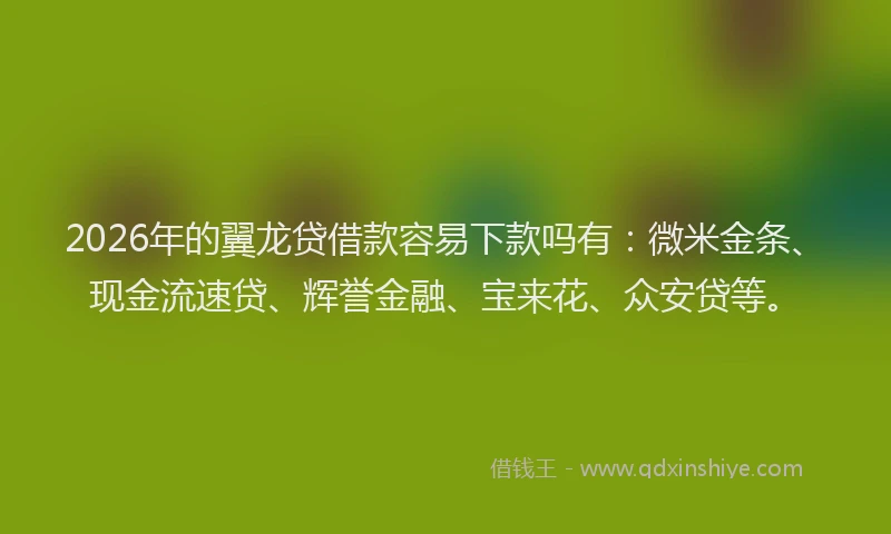 2026年的翼龙贷借款容易下款吗有：微米金条、现金流速贷、辉誉金融、宝来花、众安贷等。