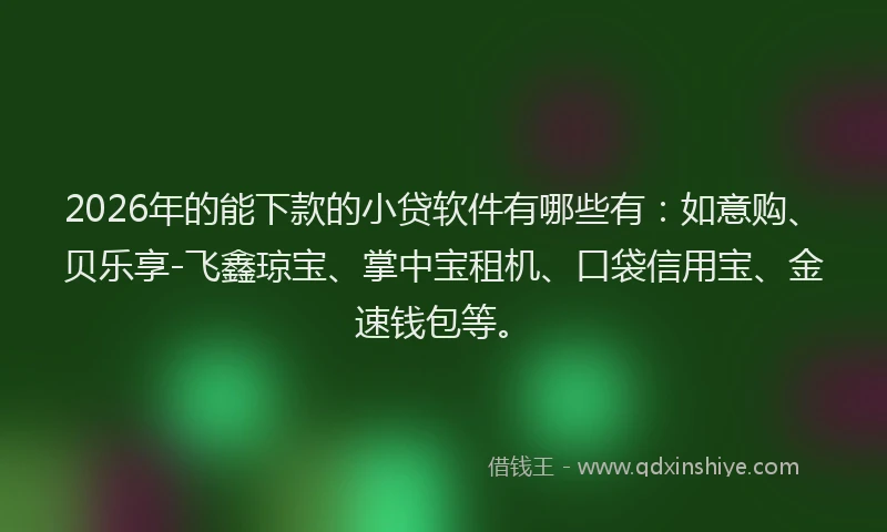 2026年的能下款的小贷软件有哪些有：如意购、贝乐享-飞鑫琼宝、掌中宝租机、口袋信用宝、金速钱包等。