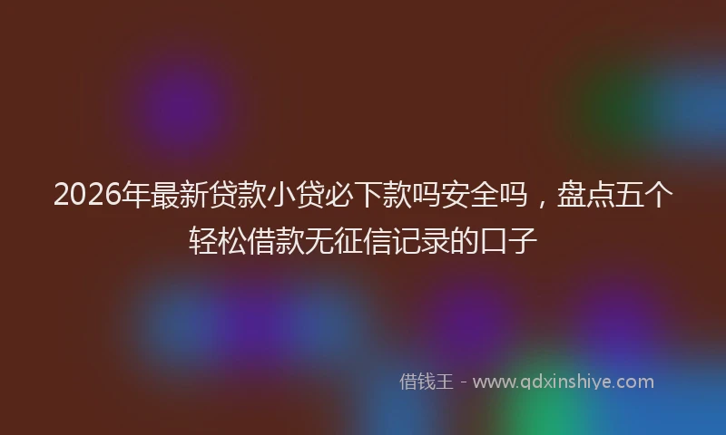 2026年最新贷款小贷必下款吗安全吗，盘点五个轻松借款无征信记录的口子