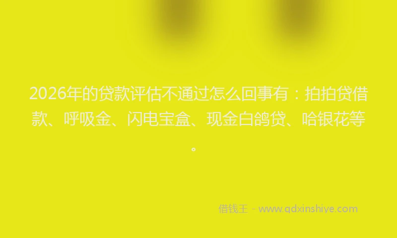 2026年的贷款评估不通过怎么回事有：拍拍贷借款、呼吸金、闪电宝盒、现金白鸽贷、哈银花等。