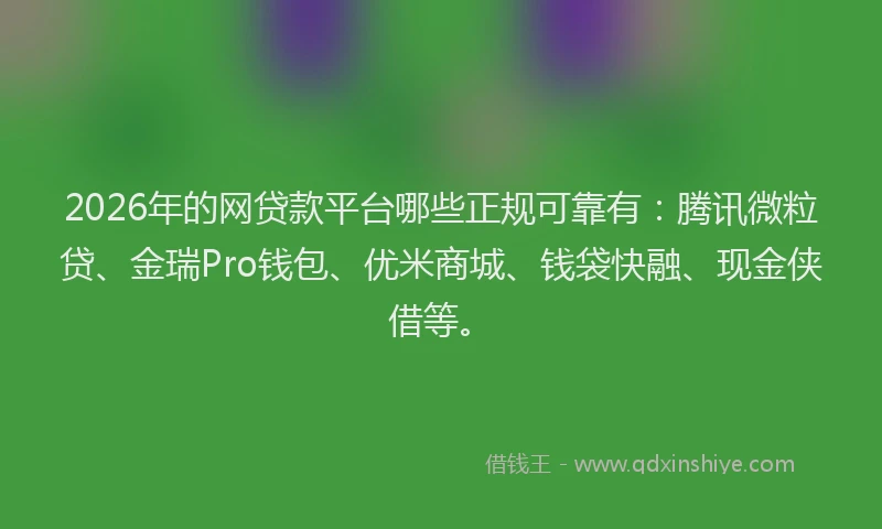 2026年的网贷款平台哪些正规可靠有：腾讯微粒贷、金瑞Pro钱包、优米商城、钱袋快融、现金侠借等。