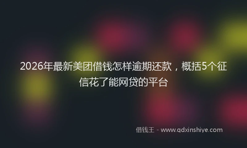 2026年最新美团借钱怎样逾期还款，概括5个征信花了能网贷的平台