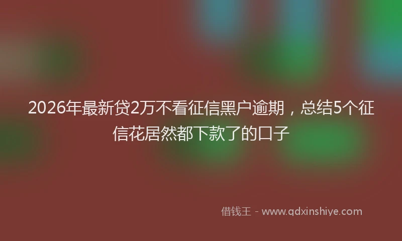 2026年最新贷2万不看征信黑户逾期，总结5个征信花居然都下款了的口子