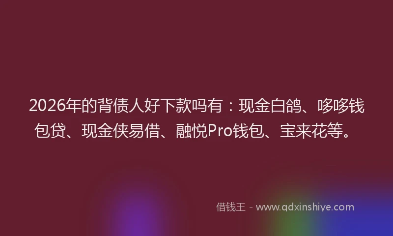 2026年的背债人好下款吗有：现金白鸽、哆哆钱包贷、现金侠易借、融悦Pro钱包、宝来花等。