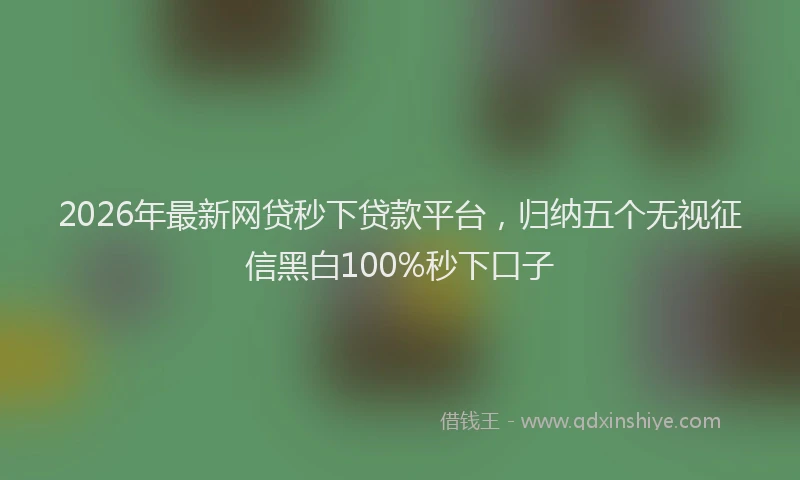 2026年最新网贷秒下贷款平台，归纳五个无视征信黑白100%秒下口子