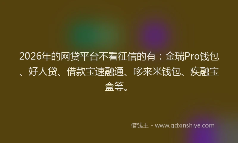 2026年的网贷平台不看征信的有：金瑞Pro钱包、好人贷、借款宝速融通、哆来米钱包、疾融宝盒等。
