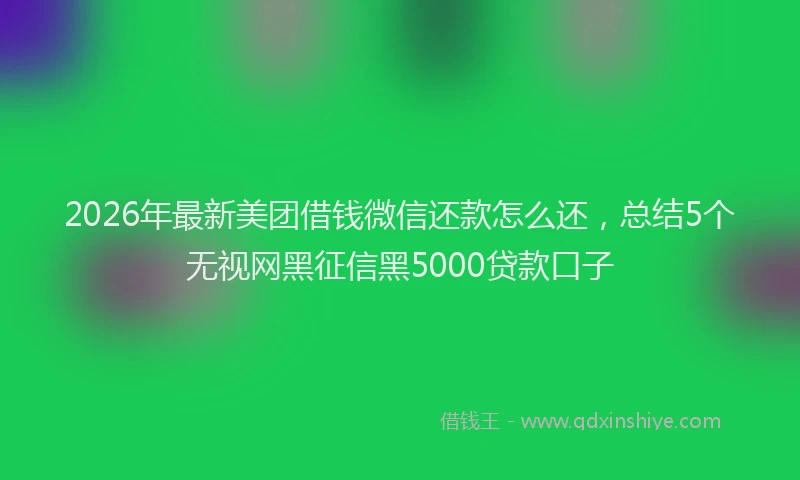 2026年最新美团借钱微信还款怎么还，总结5个无视网黑征信黑5000贷款口子