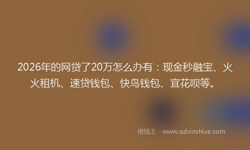 2026年的网贷了20万怎么办有：现金秒融宝、火火租机、速贷钱包、快鸟钱包、宜花呗等。