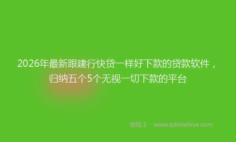 2026年最新跟建行快贷一样好下款的贷款软件，归纳五个5个无视一切下款的平台