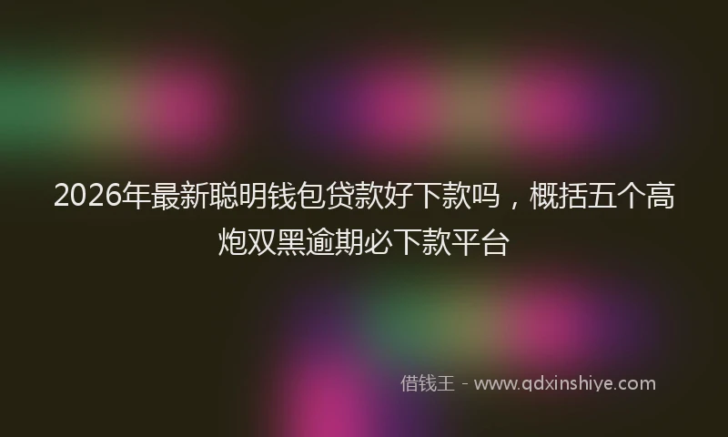 2026年最新聪明钱包贷款好下款吗，概括五个高炮双黑逾期必下款平台