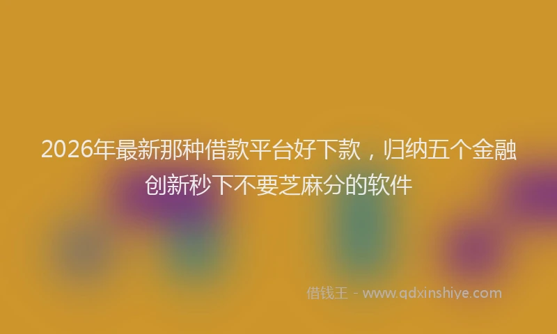 2026年最新那种借款平台好下款，归纳五个金融创新秒下不要芝麻分的软件