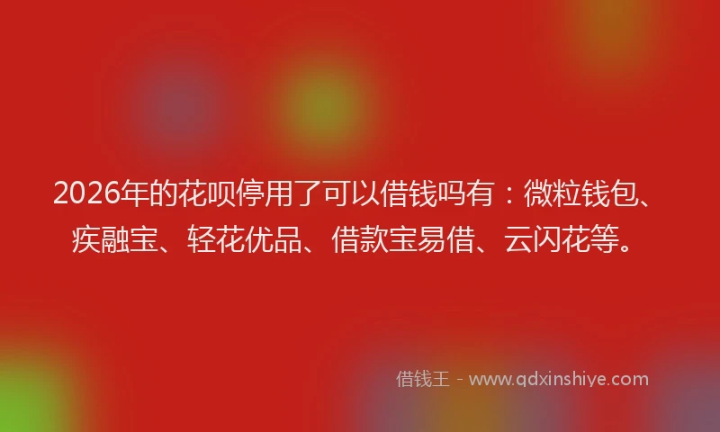 2026年的花呗停用了可以借钱吗有：微粒钱包、疾融宝、轻花优品、借款宝易借、云闪花等。
