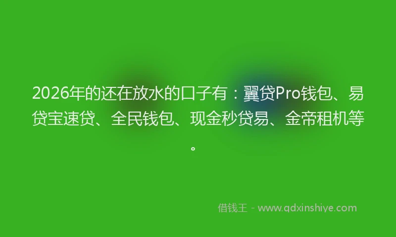 2026年的还在放水的口子有：翼贷Pro钱包、易贷宝速贷、全民钱包、现金秒贷易、金帝租机等。