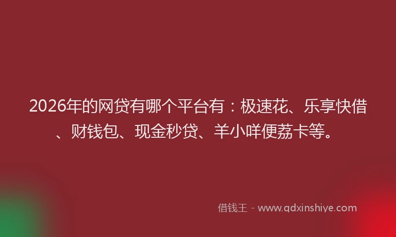 2026年的网贷有哪个平台有：极速花、乐享快借、财钱包、现金秒贷、羊小咩便荔卡等。