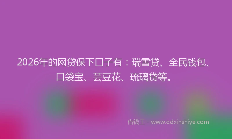 2026年的网贷保下口子有：瑞雪贷、全民钱包、口袋宝、芸豆花、琉璃贷等。