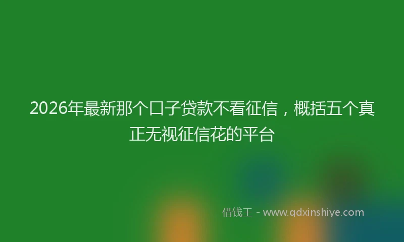 2026年最新那个口子贷款不看征信，概括五个真正无视征信花的平台