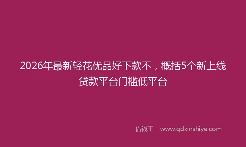 2026年最新轻花优品好下款不，概括5个新上线贷款平台门槛低平台