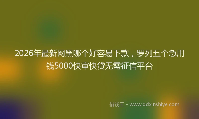 2026年最新网黑哪个好容易下款，罗列五个急用钱5000快审快贷无需征信平台