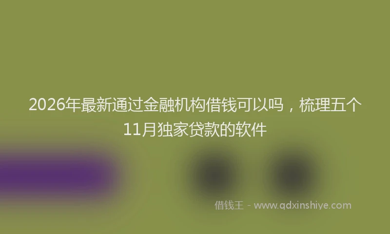 2026年最新通过金融机构借钱可以吗，梳理五个11月独家贷款的软件