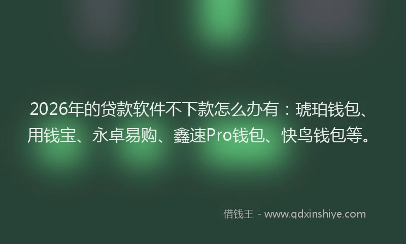 2026年的贷款软件不下款怎么办有：琥珀钱包、用钱宝、永卓易购、鑫速Pro钱包、快鸟钱包等。