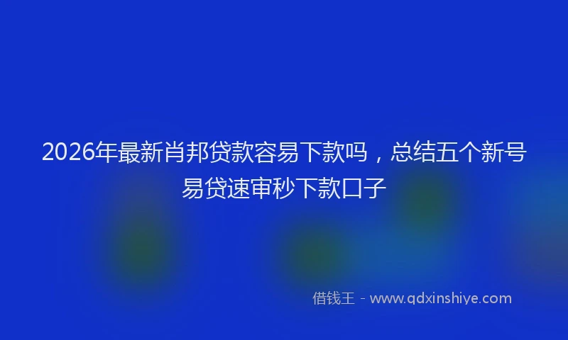 2026年最新肖邦贷款容易下款吗，总结五个新号易贷速审秒下款口子