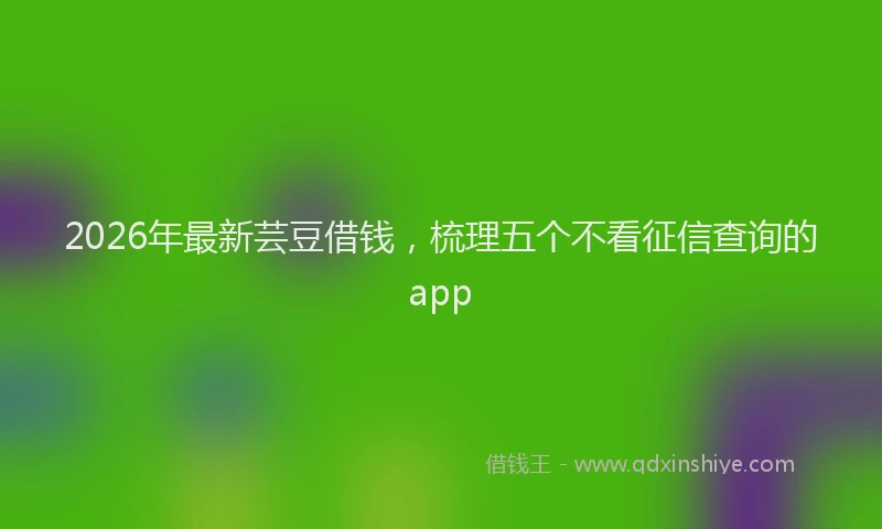 2026年最新芸豆借钱，梳理五个不看征信查询的app