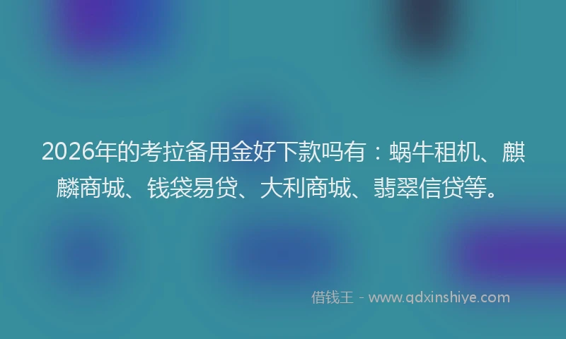 2026年的考拉备用金好下款吗有：蜗牛租机、麒麟商城、钱袋易贷、大利商城、翡翠信贷等。