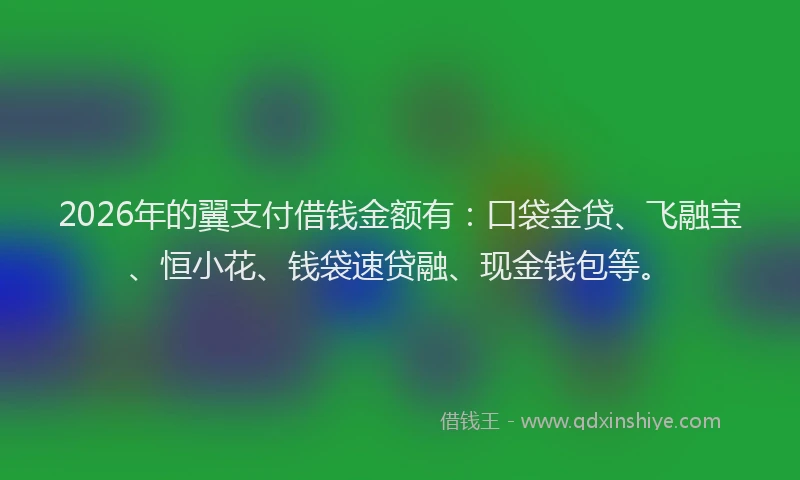 2026年的翼支付借钱金额有：口袋金贷、飞融宝、恒小花、钱袋速贷融、现金钱包等。