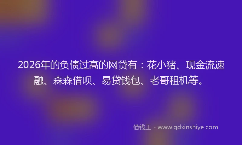 2026年的负债过高的网贷有：花小猪、现金流速融、森森借呗、易贷钱包、老哥租机等。