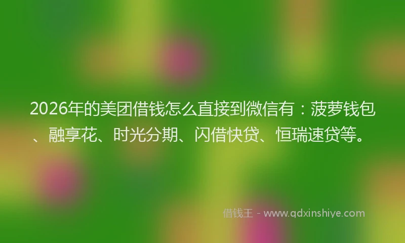 2026年的美团借钱怎么直接到微信有：菠萝钱包、融享花、时光分期、闪借快贷、恒瑞速贷等。