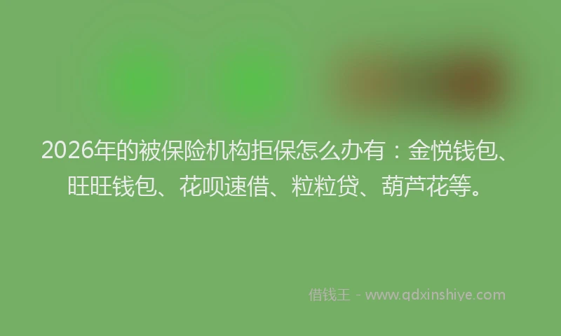 2026年的被保险机构拒保怎么办有：金悦钱包、旺旺钱包、花呗速借、粒粒贷、葫芦花等。