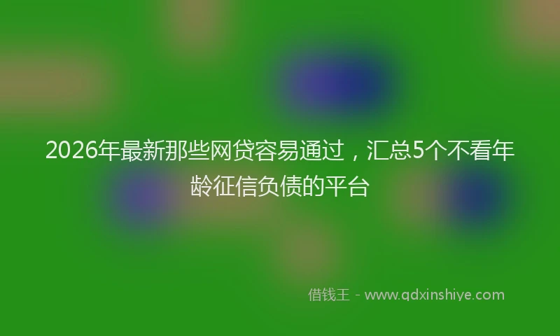 2026年最新那些网贷容易通过，汇总5个不看年龄征信负债的平台