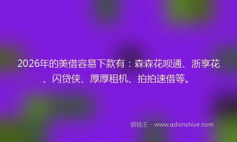 2026年的美借容易下款有：森森花呗通、浙享花、闪贷侠、厚厚租机、拍拍速借等。
