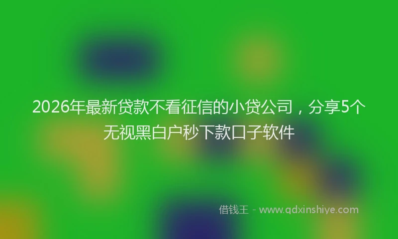 2026年最新贷款不看征信的小贷公司，分享5个无视黑白户秒下款口子软件