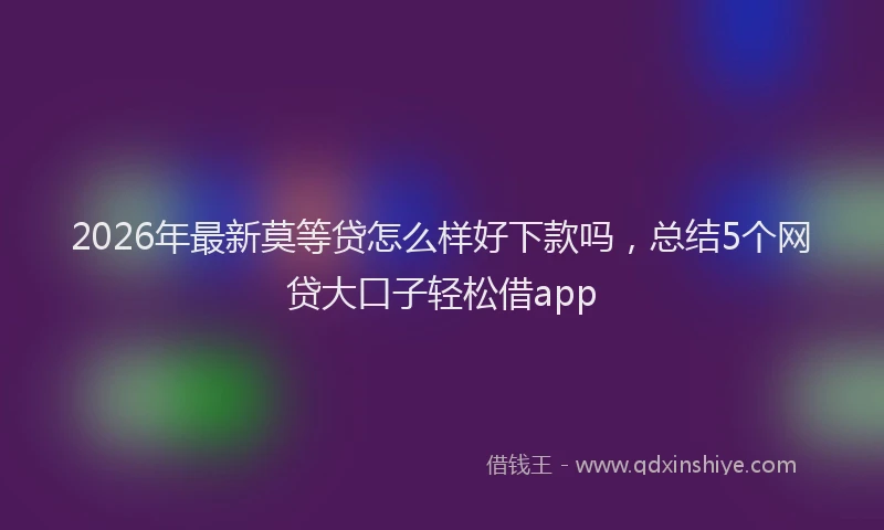 2026年最新莫等贷怎么样好下款吗，总结5个网贷大口子轻松借app
