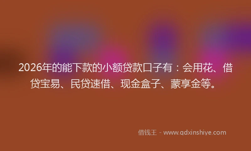 2026年的能下款的小额贷款口子有：会用花、借贷宝易、民贷速借、现金盒子、蒙享金等。